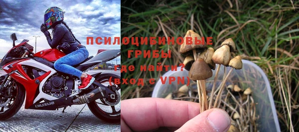 дурь Абдулино