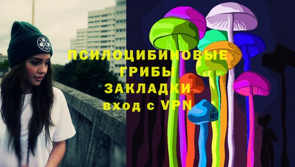 индика Алексин
