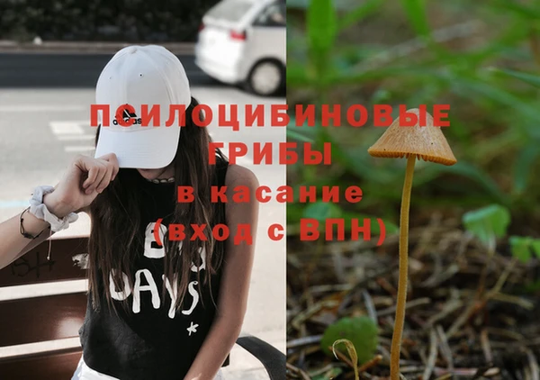 дурь Абдулино