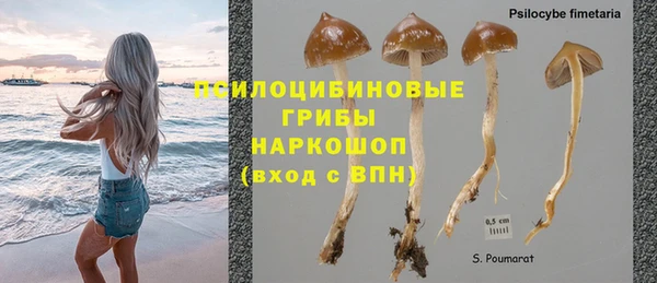 синтетический гашиш Алексеевка
